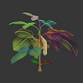 Fresh Green Plant With Vibrant Leaves And Yellow Pods On Dark Background